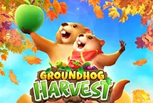 Groundhog Harvest